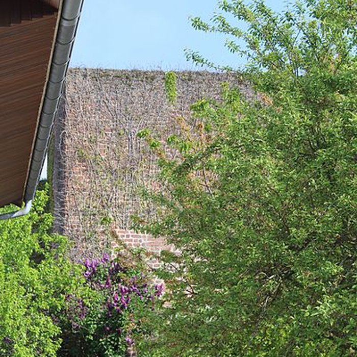 Photo de Enceinte de Bâgé-le-Châtel