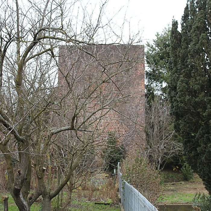 Photo de Enceinte de Bâgé-le-Châtel