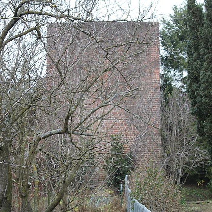 Photo de Enceinte de Bâgé-le-Châtel