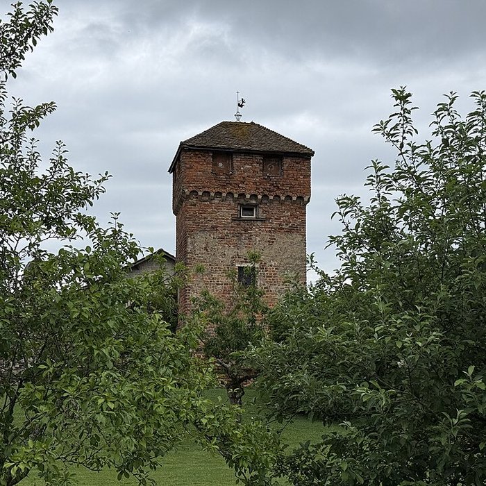 Photo de Enceinte de Bâgé-le-Châtel