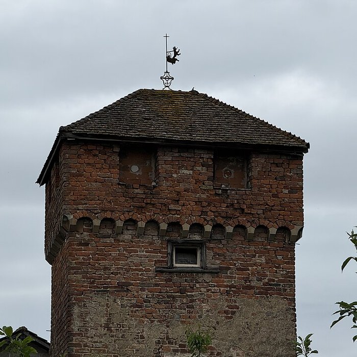 Photo de Enceinte de Bâgé-le-Châtel