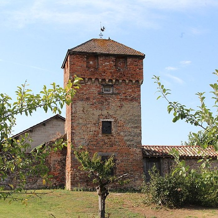 Photo de Enceinte de Bâgé-le-Châtel