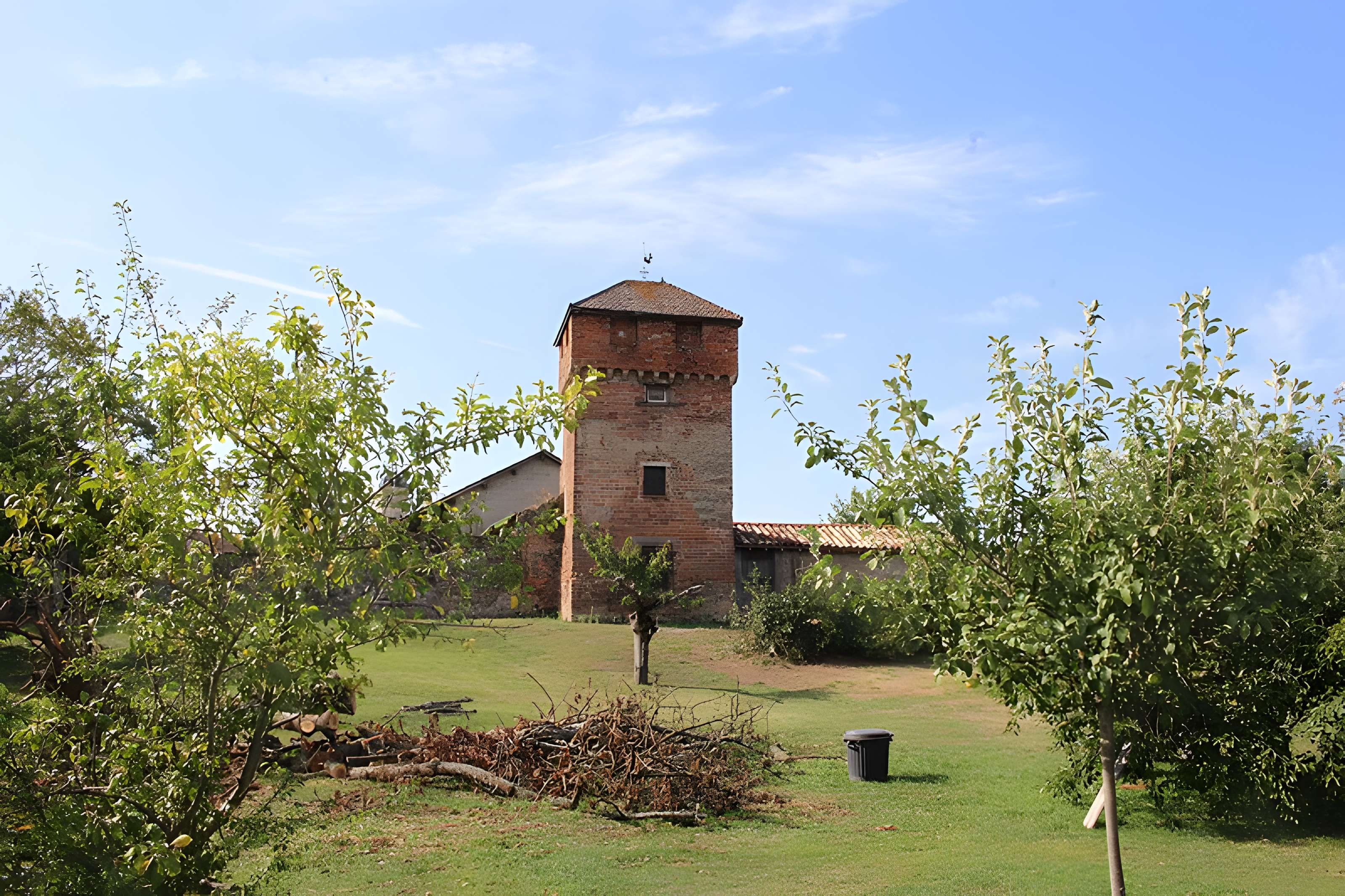 Enceinte de Bâgé-le-Châtel