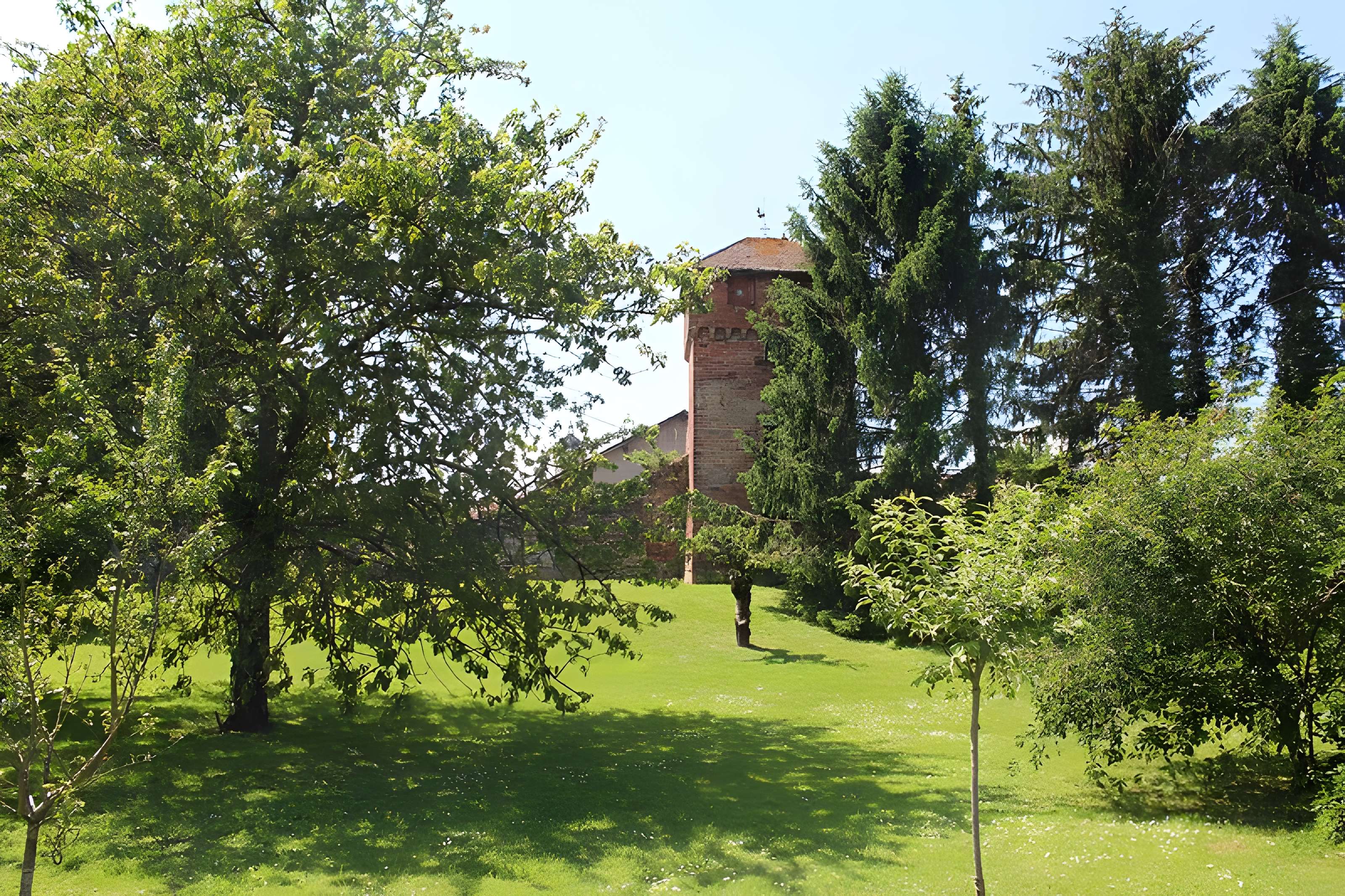 Enceinte de Bâgé-le-Châtel