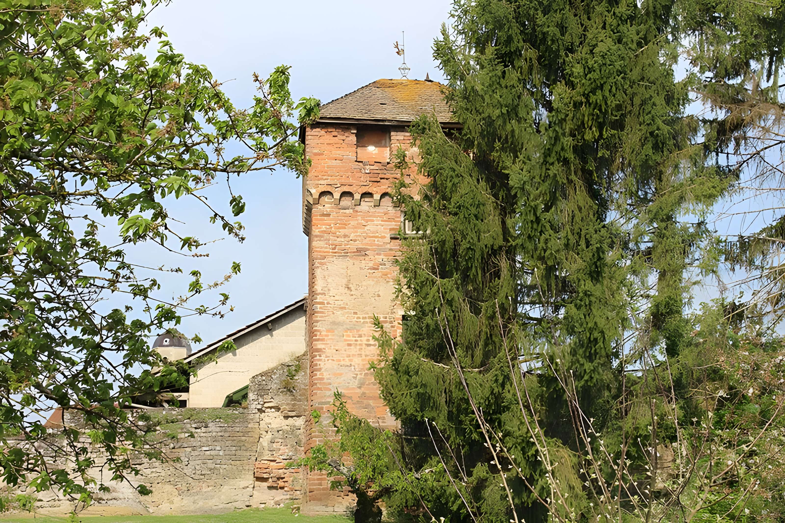 Enceinte de Bâgé-le-Châtel