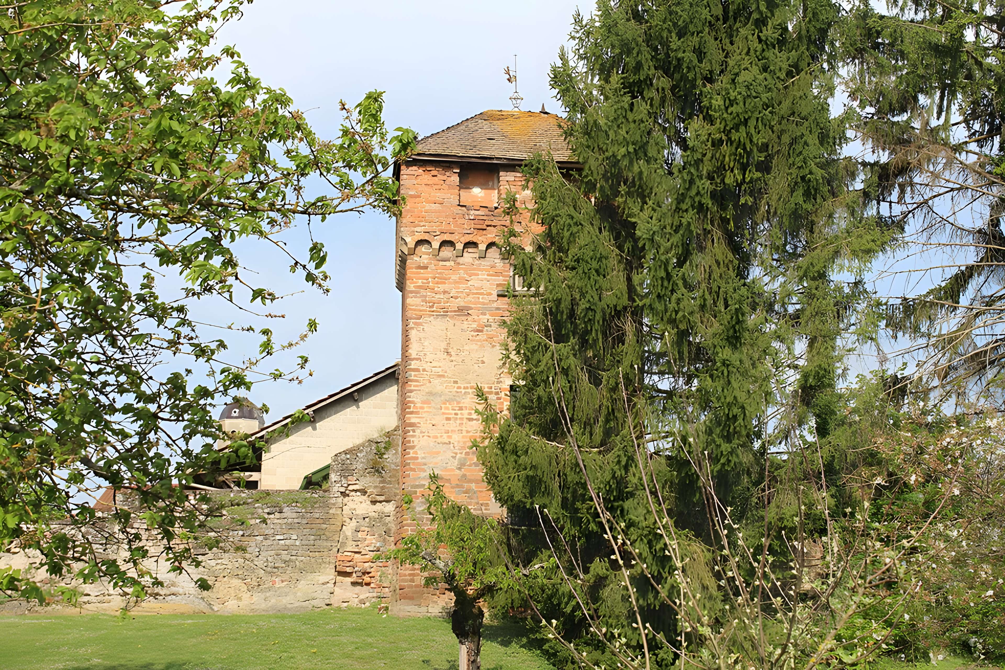 Enceinte de Bâgé-le-Châtel