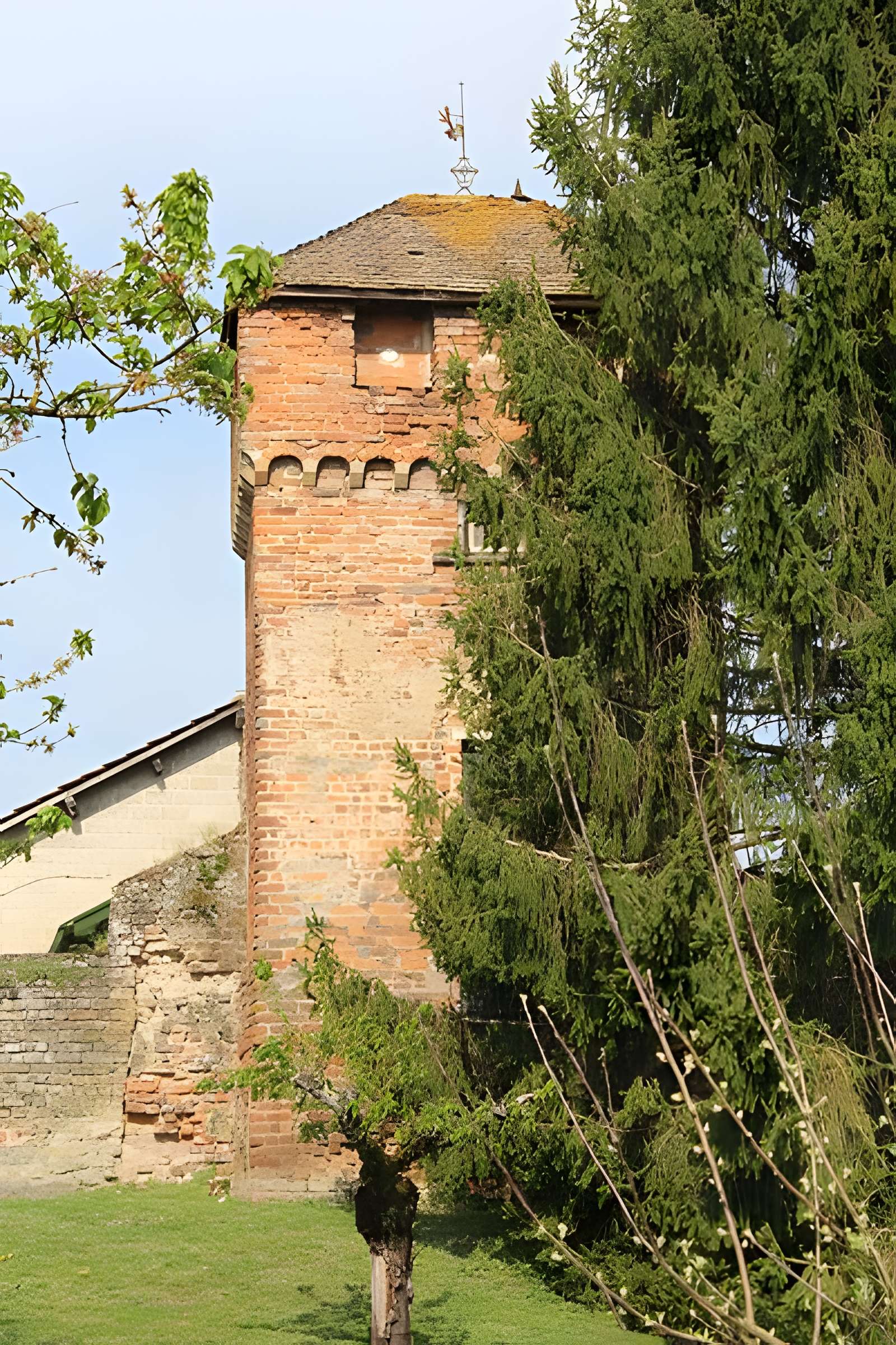 Enceinte de Bâgé-le-Châtel