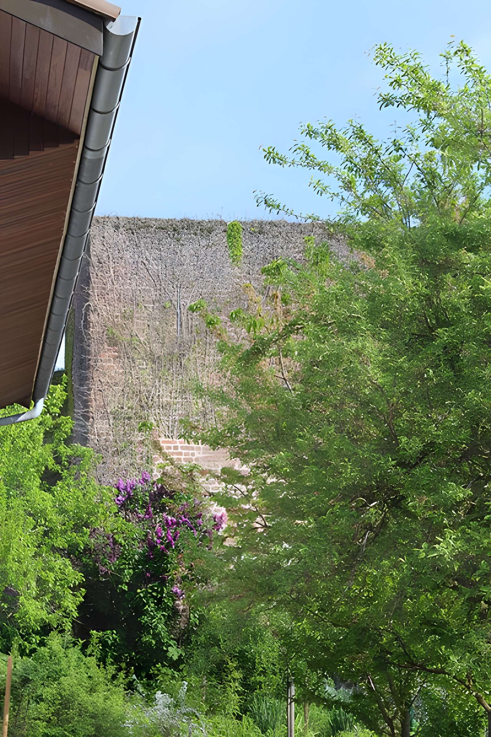 Enceinte de Bâgé-le-Châtel