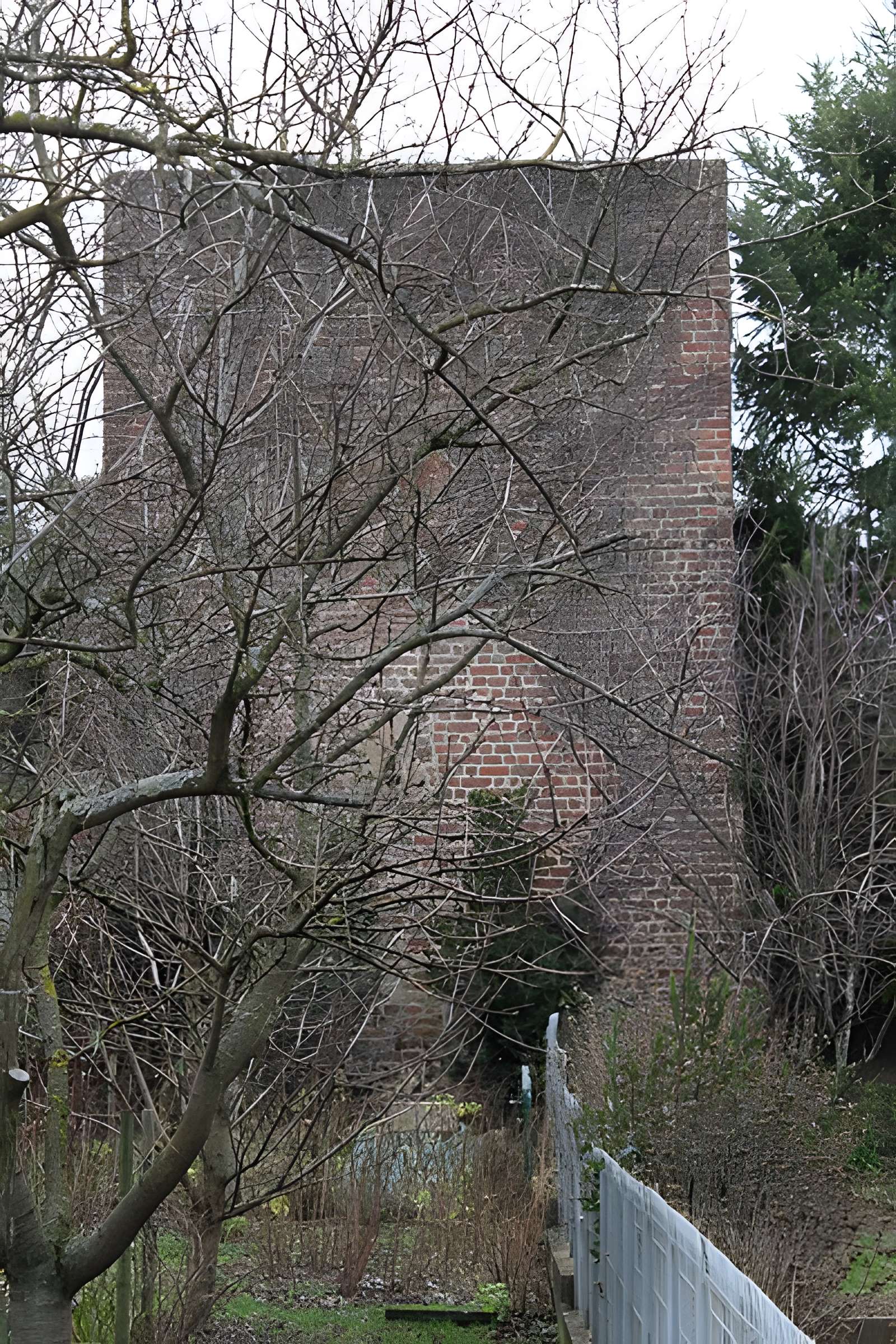 Enceinte de Bâgé-le-Châtel