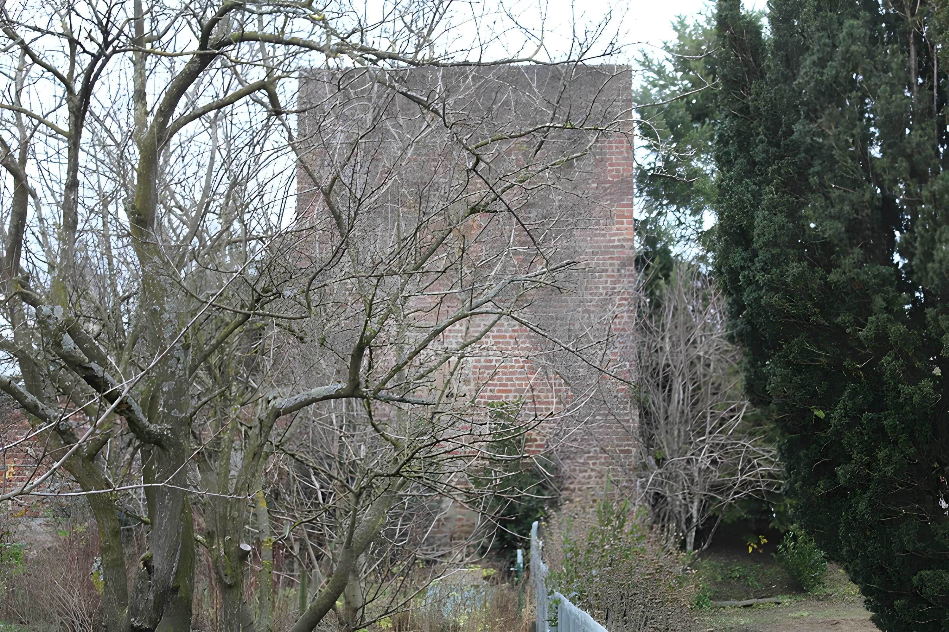 Enceinte de Bâgé-le-Châtel