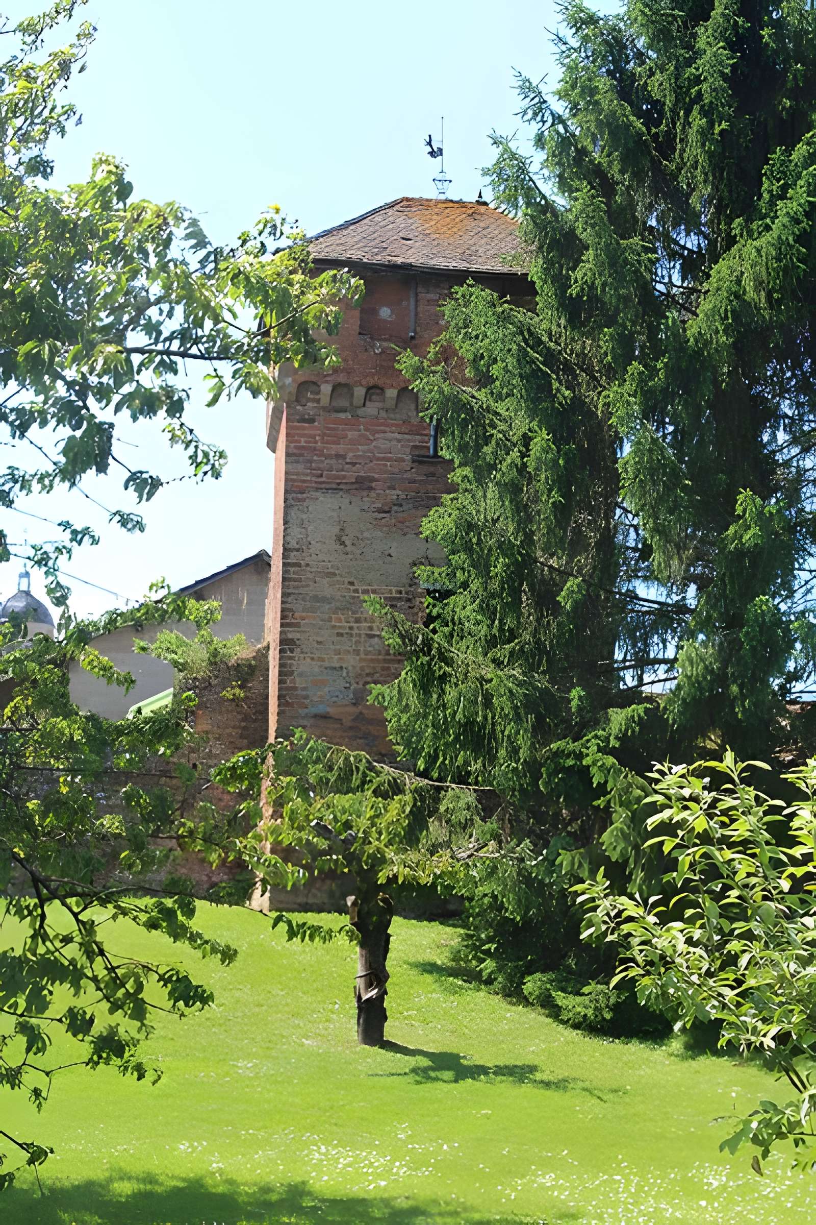 Enceinte de Bâgé-le-Châtel