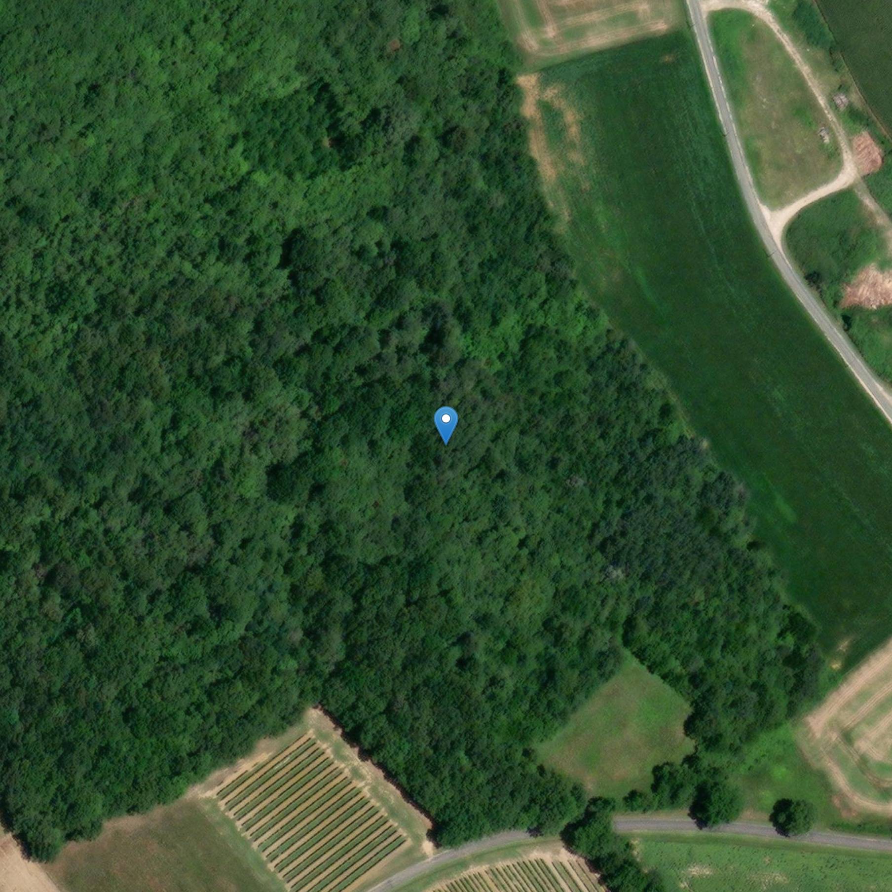 Photo de Embarazo de Meursac