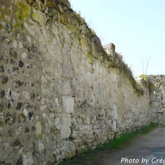 Photo de Enceinte du Grand-Andely