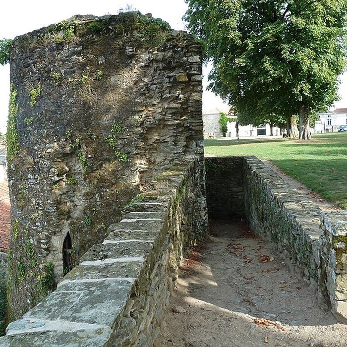 Photo de Enceinte fortifiée de Vouvant