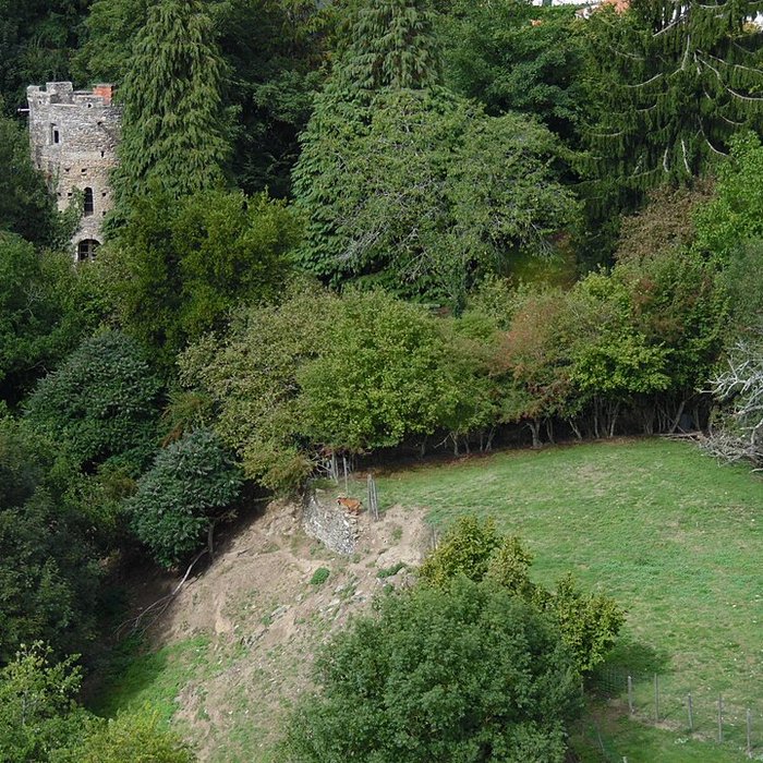 Photo de Enceinte fortifiée de Vouvant