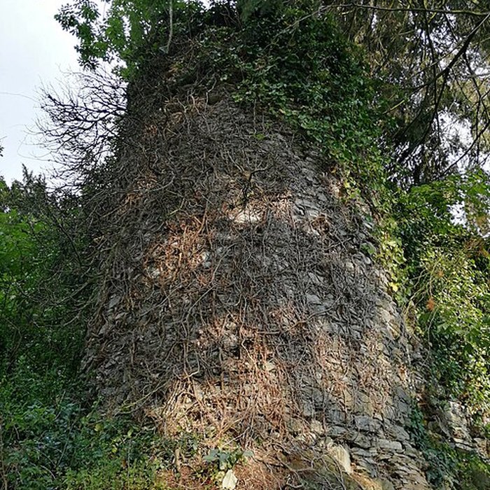 Photo de Enceinte fortifiée de Vouvant