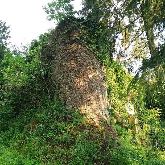 Photo de Enceinte fortifiée de Vouvant