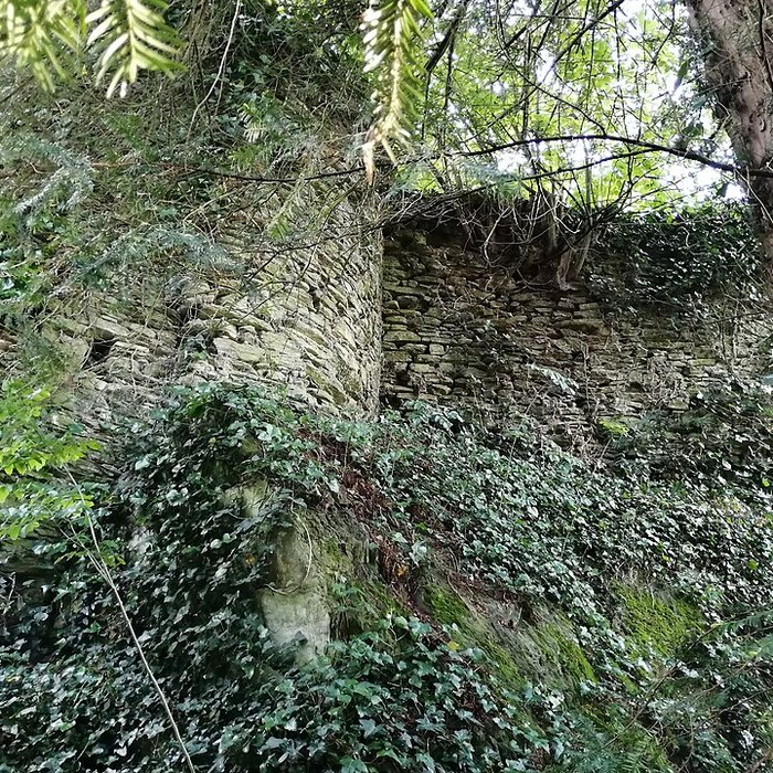 Photo de Enceinte fortifiée de Vouvant