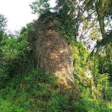 Enceinte fortifiée de Vouvant