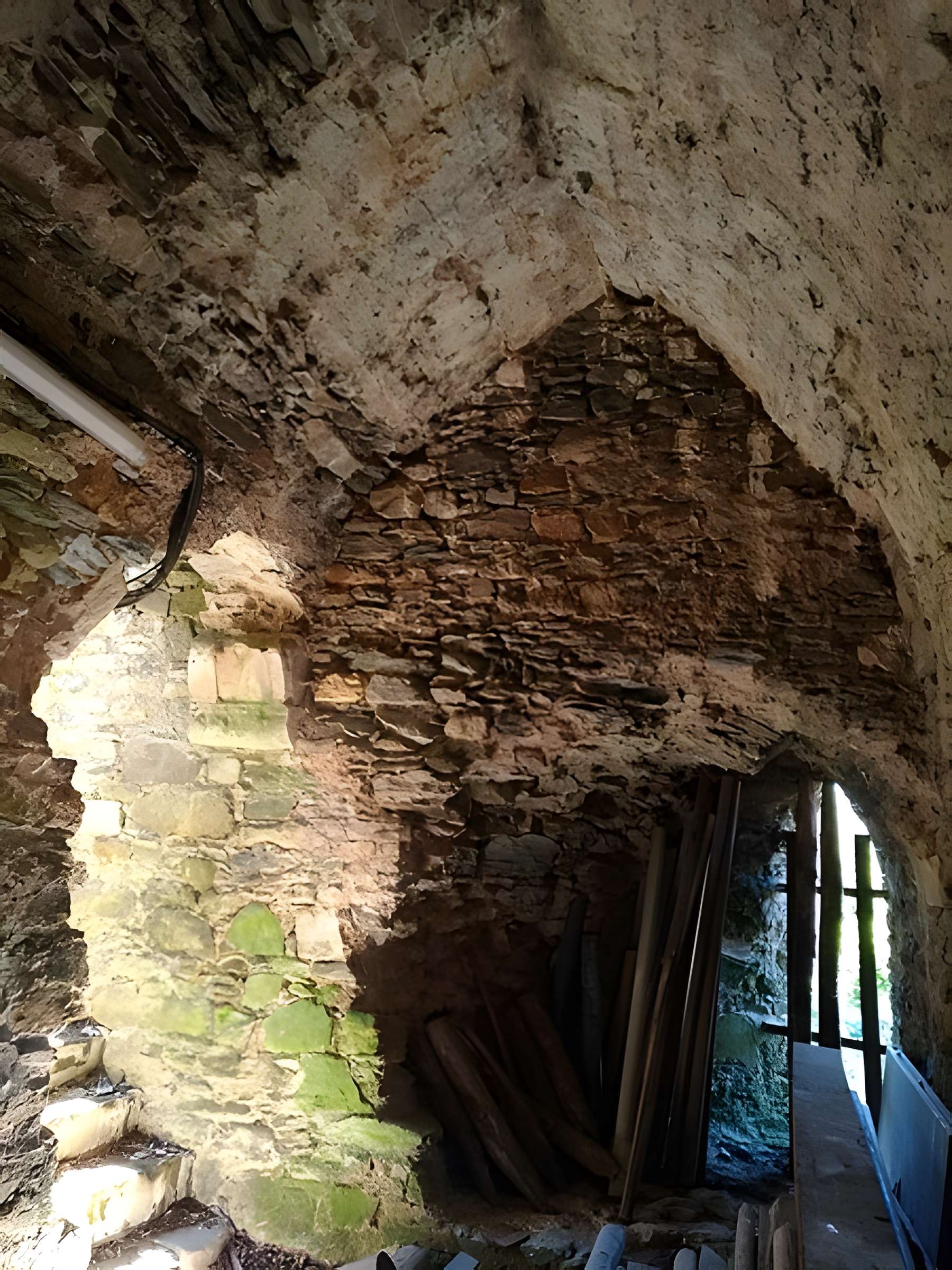 Enceinte fortifiée de Vouvant