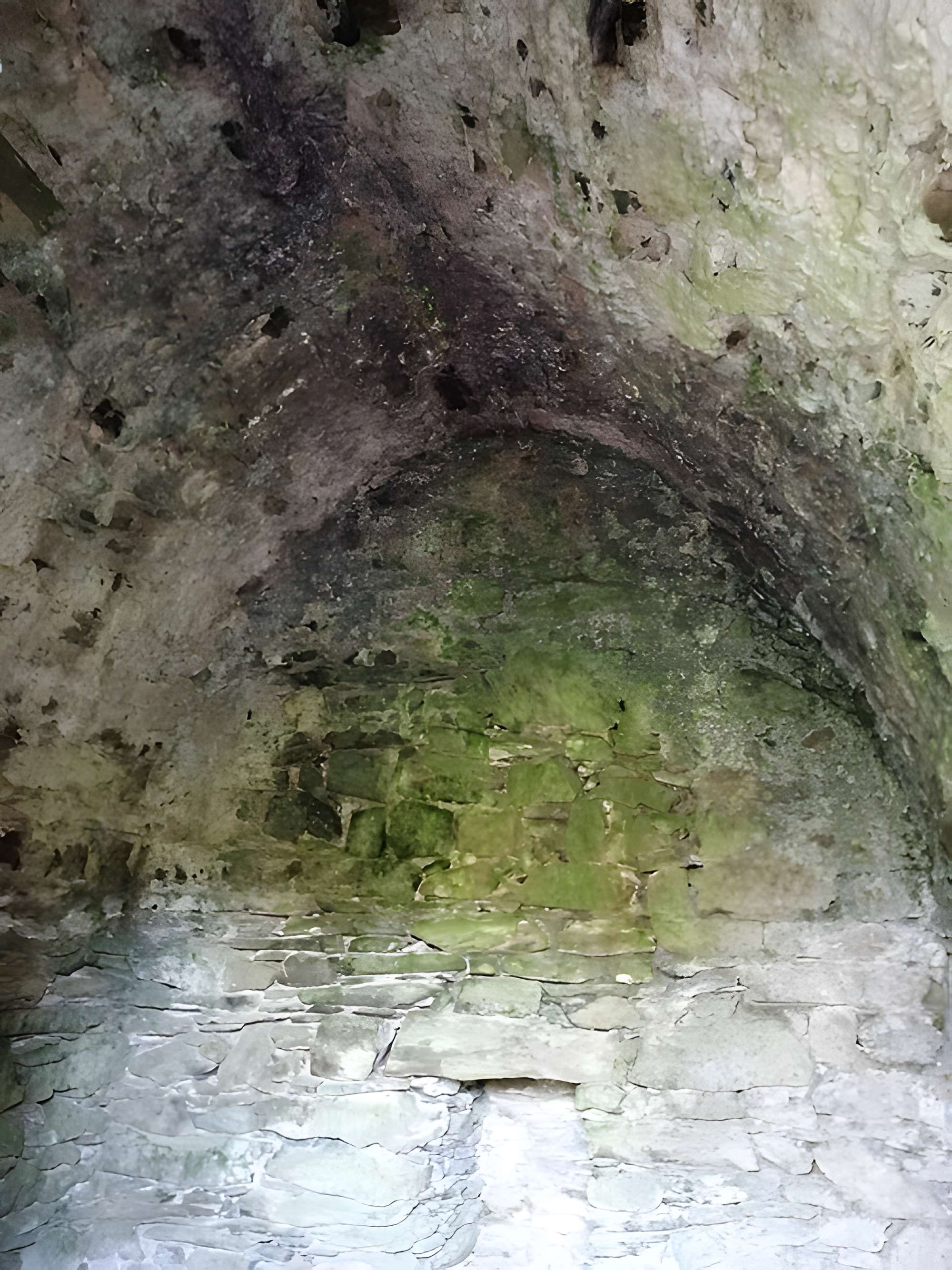 Enceinte fortifiée de Vouvant