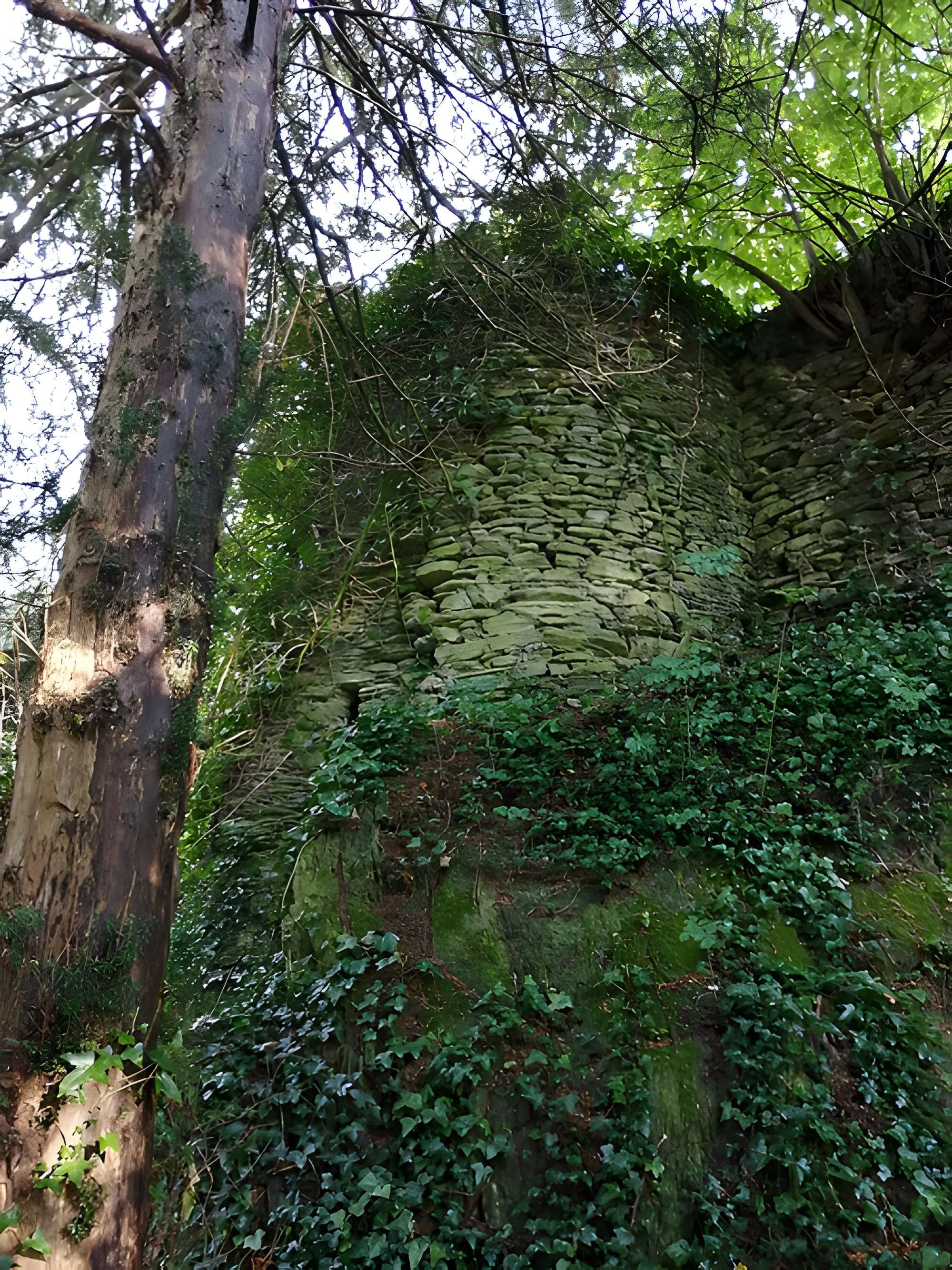 Enceinte fortifiée de Vouvant