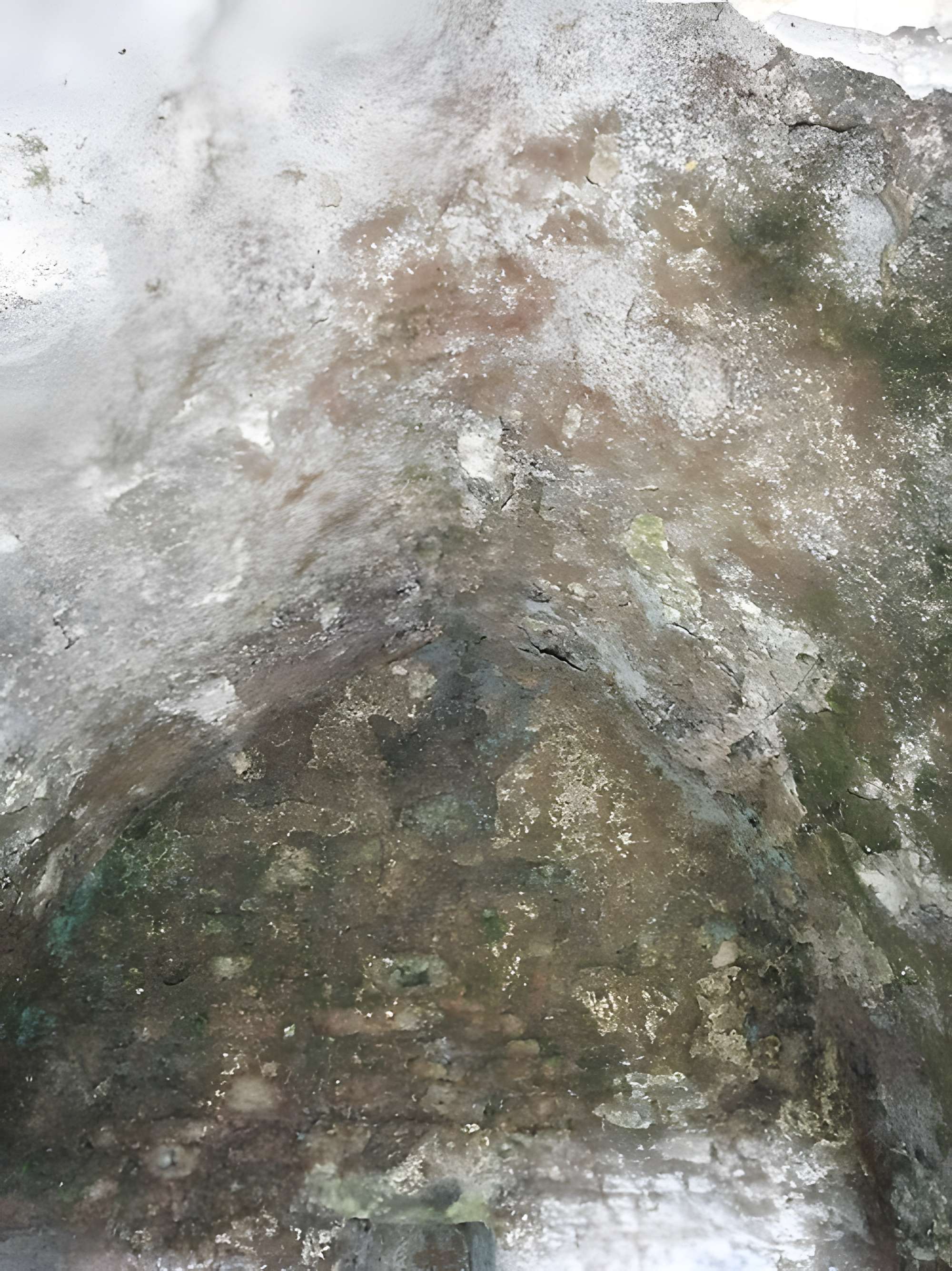 Enceinte fortifiée de Vouvant