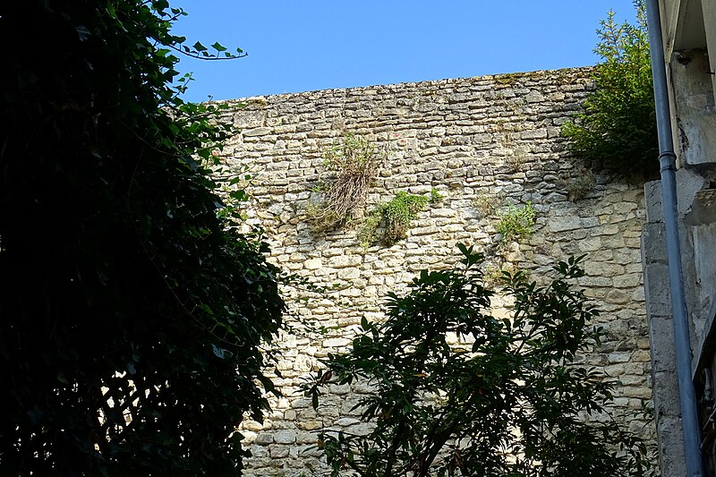 Enceinte gallo-romaine de Senlis