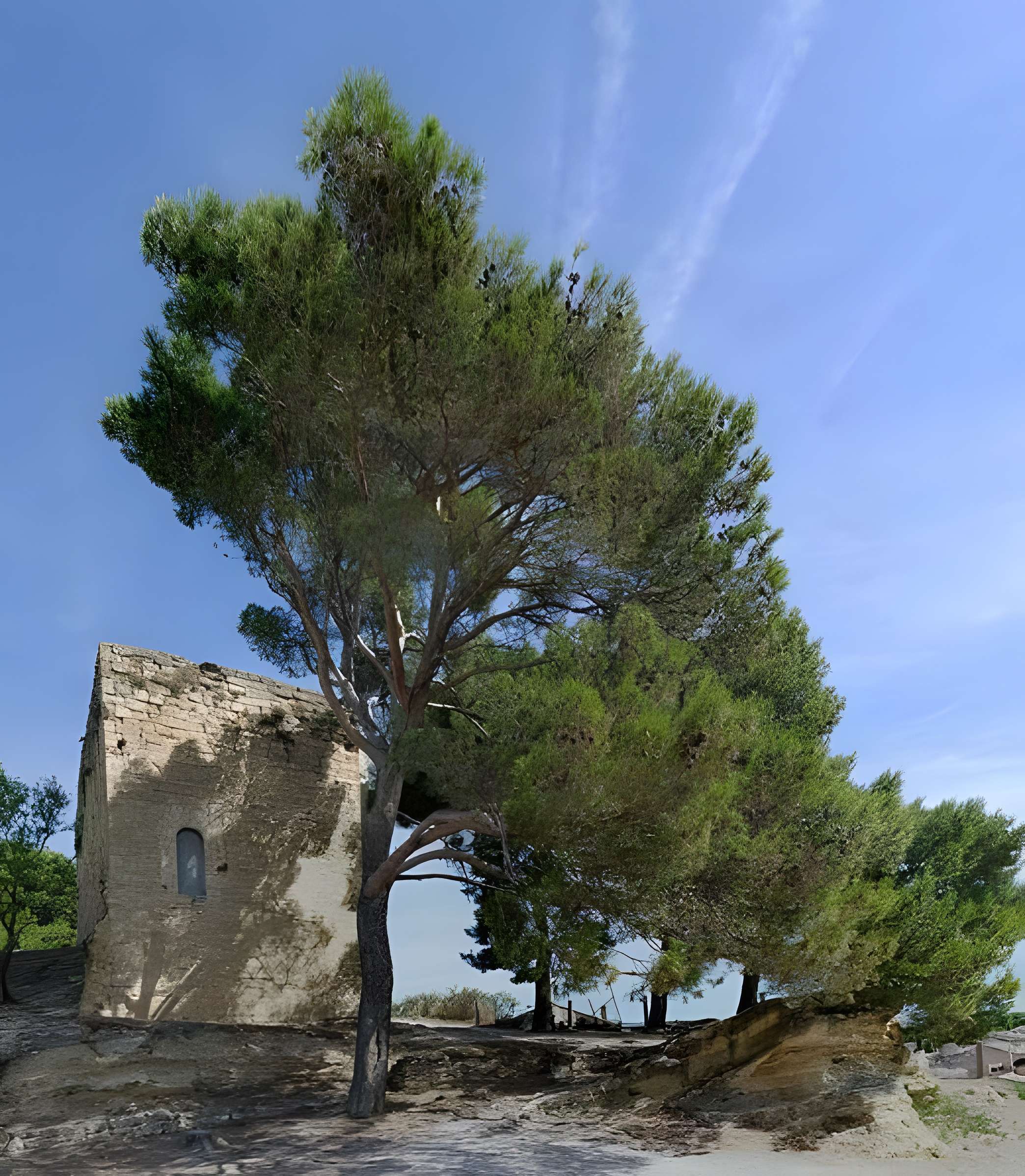 Enceinte médiévale de Cucuron