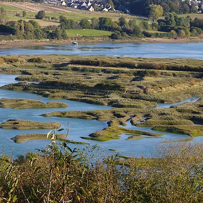 Photo de Enceinte médiévale dite lHuitrière