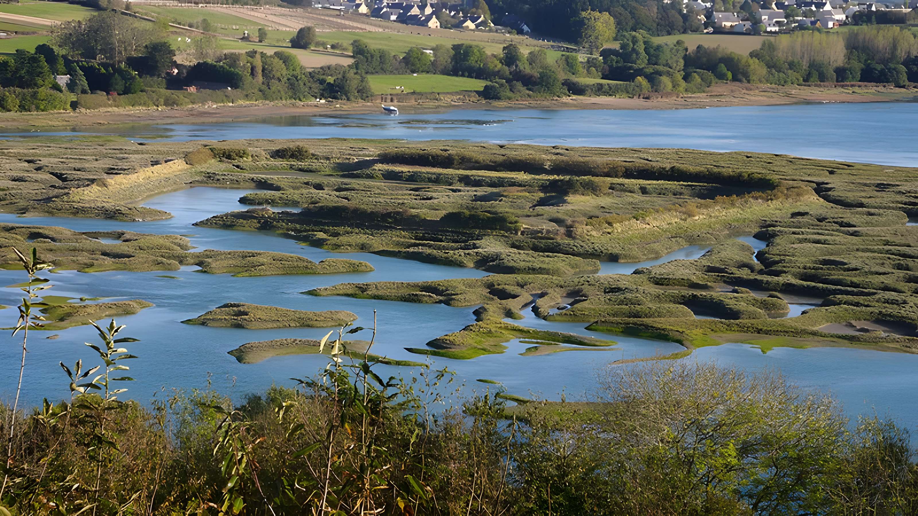 Enceinte médiévale dite l'Huitrière