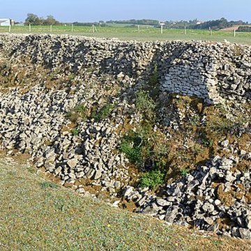 Enceinte préhistorique de Champ-Durand de Nieul-sur-lAutise