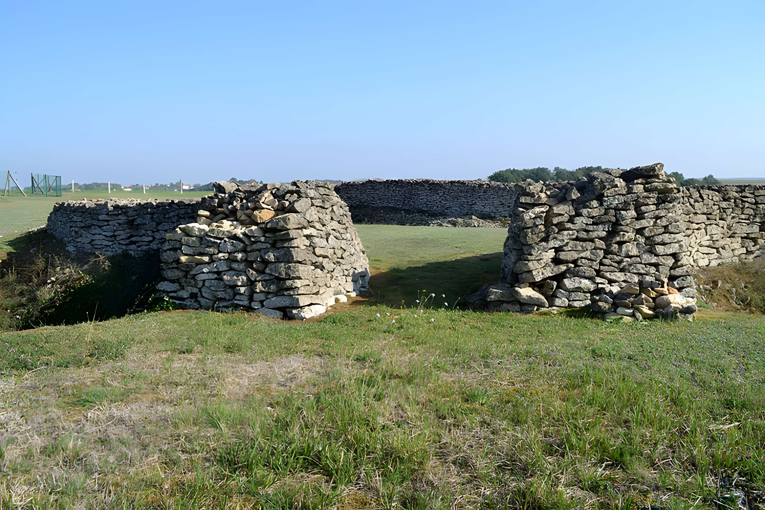 Enceinte préhistorique de Champ-Durand de Nieul-sur-l'Autise