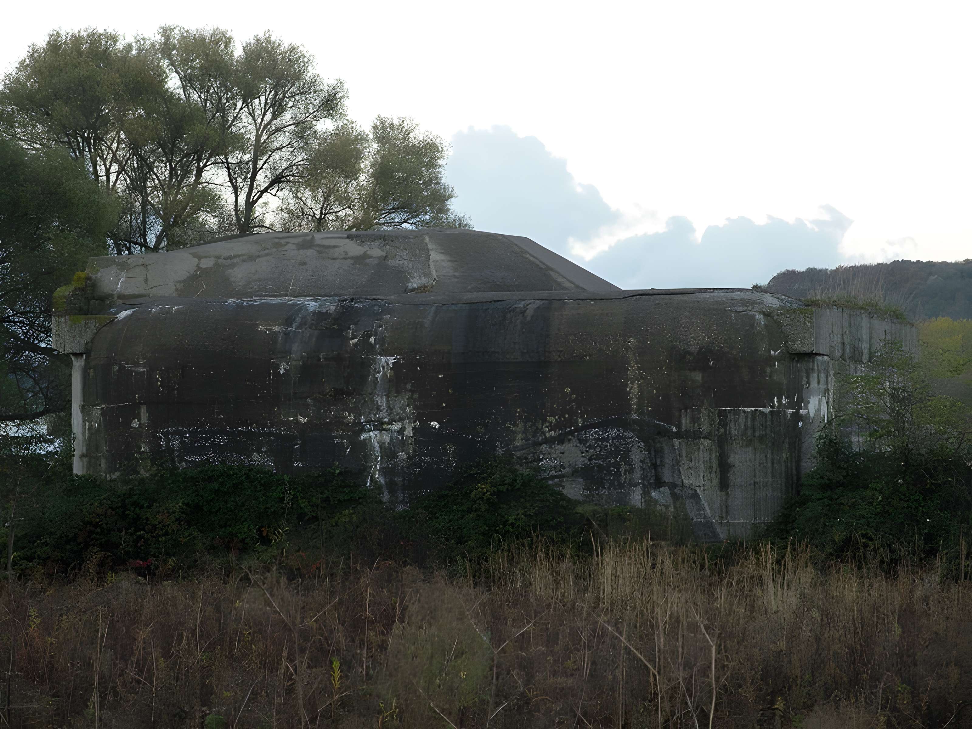 Encuvement sur abri pour canon de Gonfreville-l'Orcher 