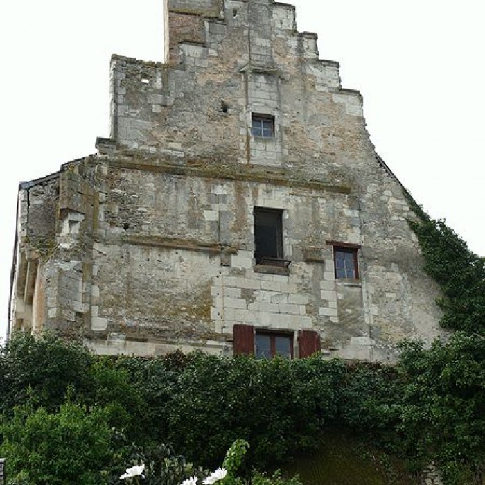 Photo de Ensemble castral de Châtillon-sur-Indre