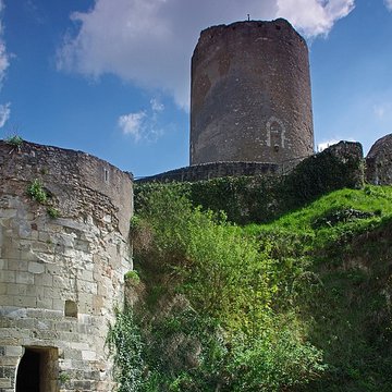 Ensemble castral de Châtillon-sur-Indre