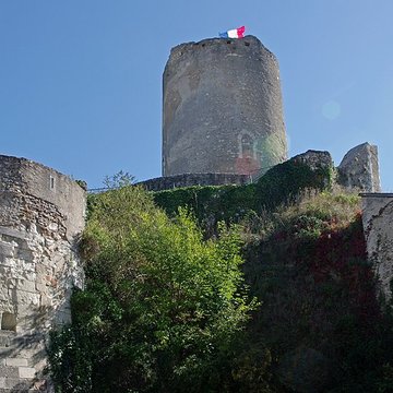 Ensemble castral de Châtillon-sur-Indre