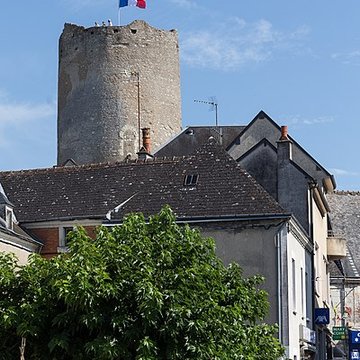 Ensemble castral de Châtillon-sur-Indre