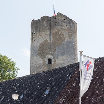 Ensemble castral de Châtillon-sur-Indre