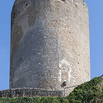 Ensemble castral de Châtillon-sur-Indre