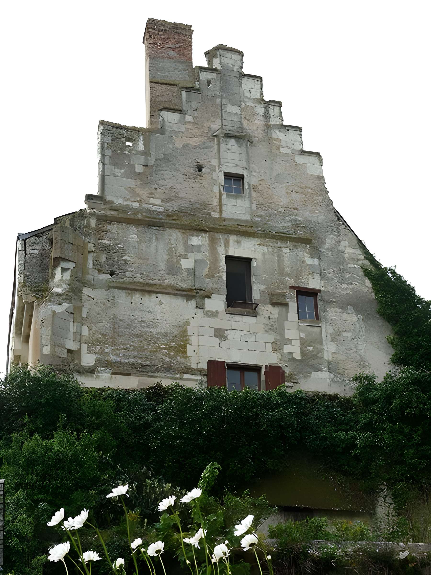Ensemble castral de Châtillon-sur-Indre 