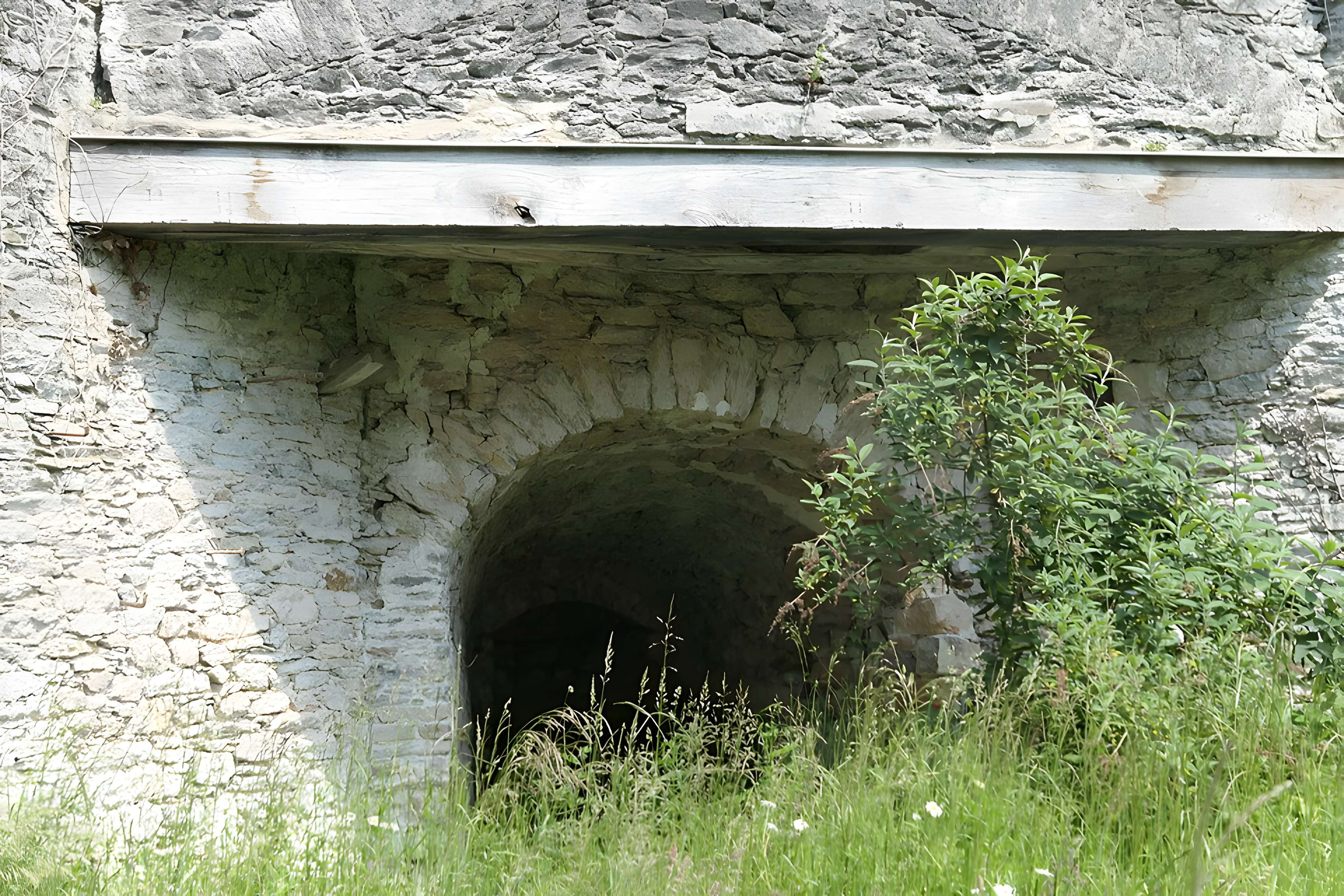Ensemble chaufournier des Brosses à Saint-Berthevin