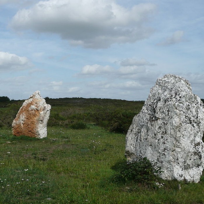 Photo de Ensemble mégalithique de Freigné