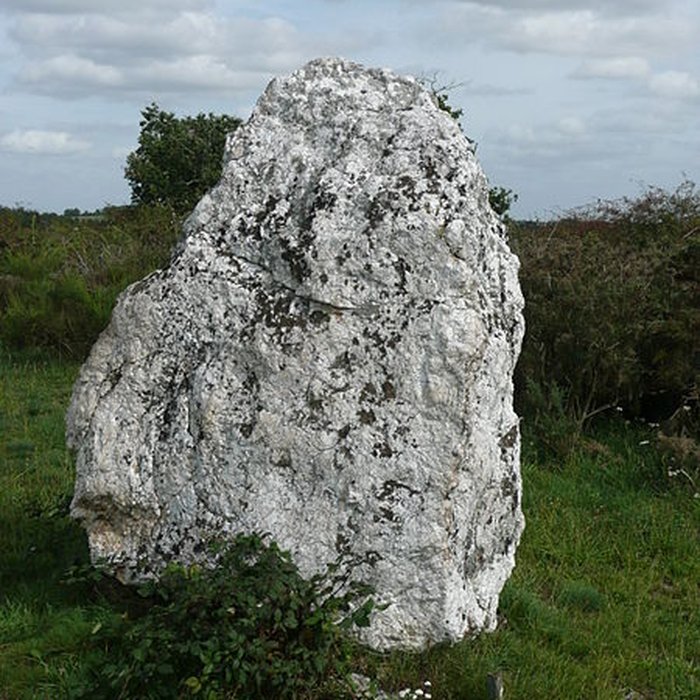 Photo de Ensemble mégalithique de Freigné