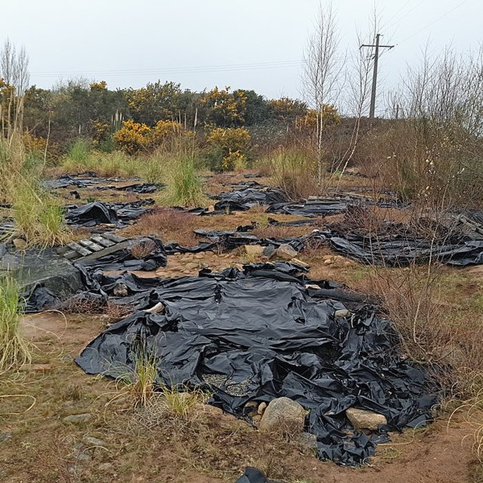 Photo de Ensemble mégalithique de Kerdruellan à Belz