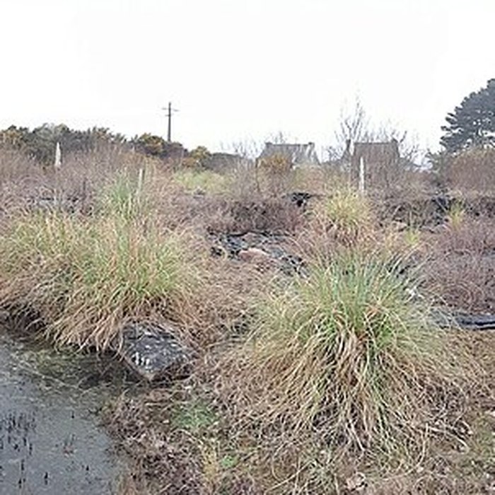 Photo de Ensemble mégalithique de Kerdruellan à Belz