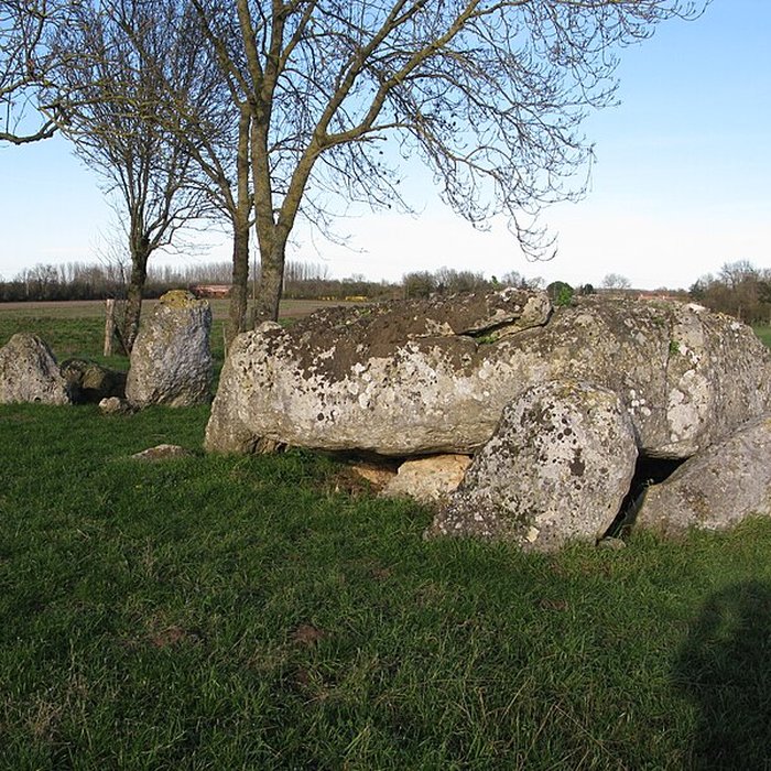 Photo de Ensemble mégalithique de la Pierre Levée à La Vallée