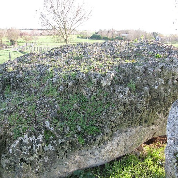 Photo de Ensemble mégalithique de la Pierre Levée à La Vallée