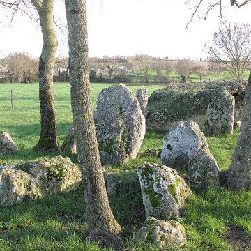 Ensemble mégalithique de la Pierre Levée à La Vallée