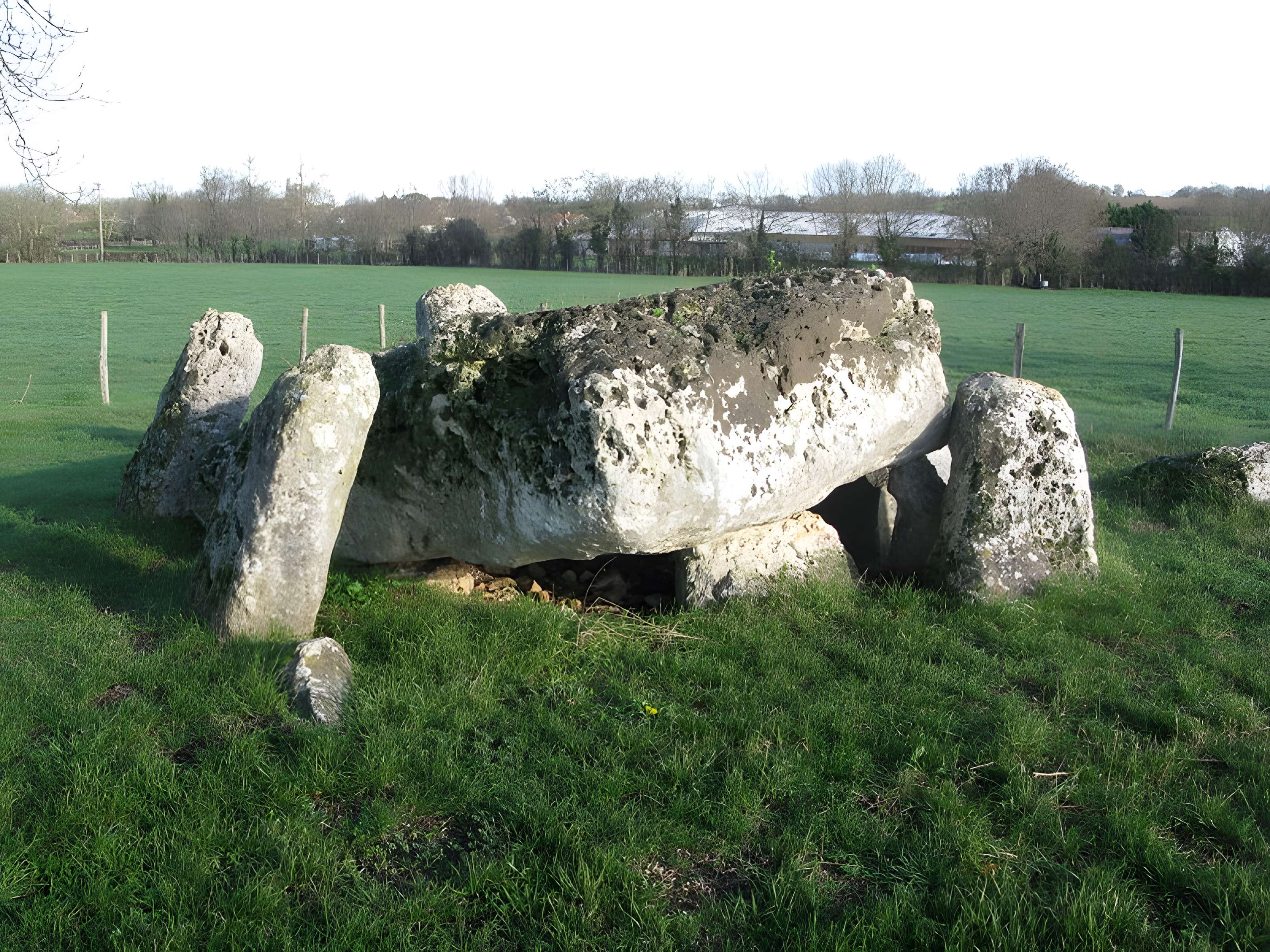 Ensemble mégalithique de la Pierre Levée à La Vallée 